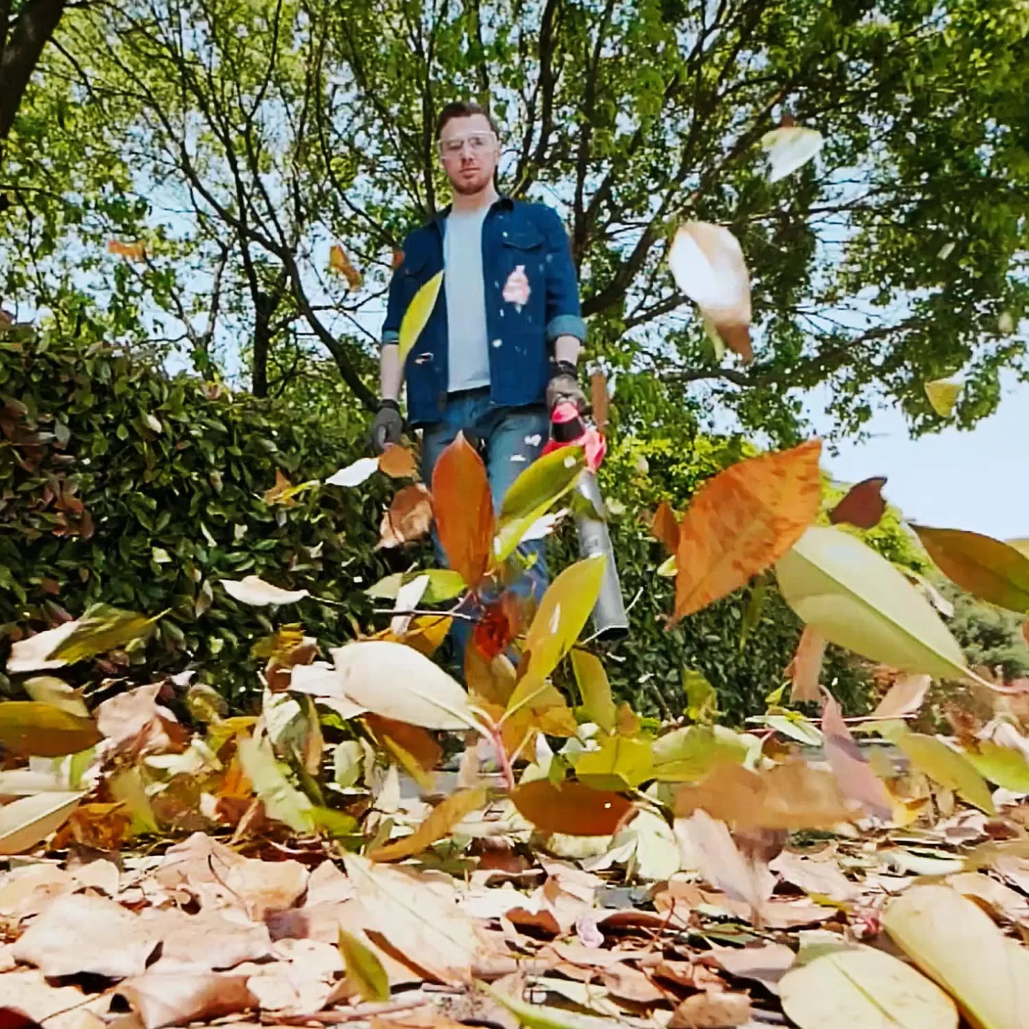Thumbnail 8